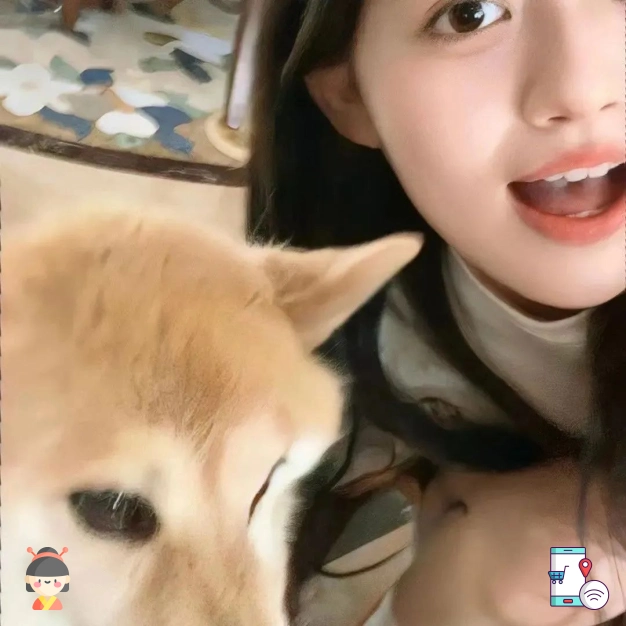 石磊先生